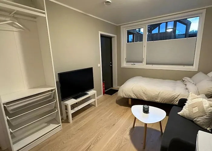 Arctic Aurora Studio I New In 2023